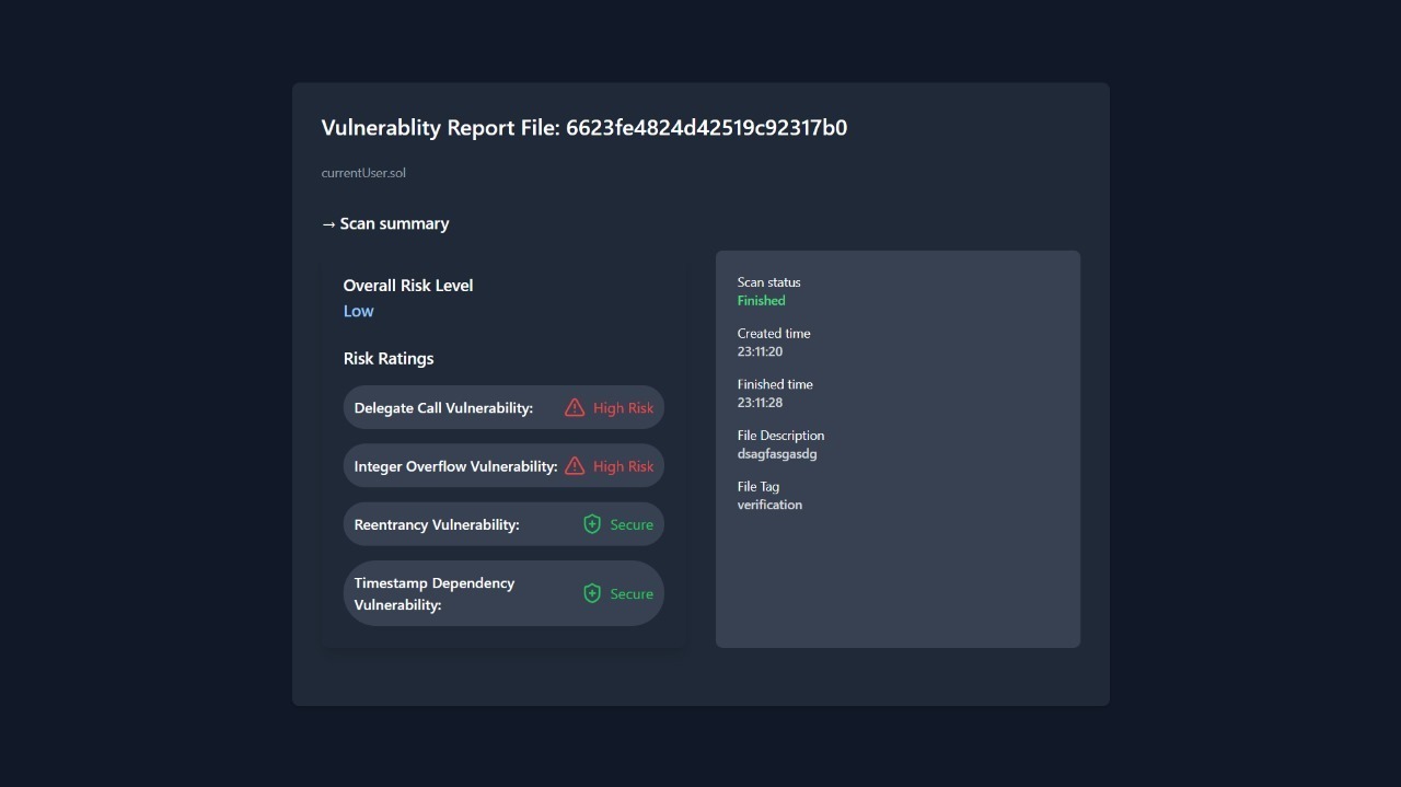 Vulnerability Detection